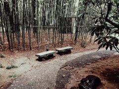 -江宁织造博物馆