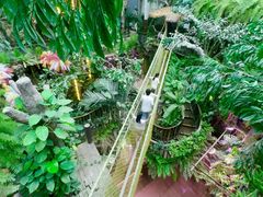 -正佳雨林生态植物园