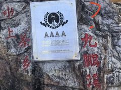-天台国家森林公园水上茶乡九鹏溪