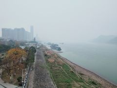-半月镰胡姐脆皮萝卜饺子