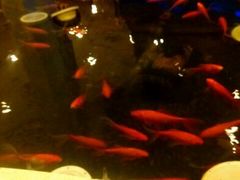 android_upload_pic-碧中海汤泉汗蒸酒店