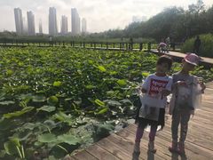 -前关湿地公园