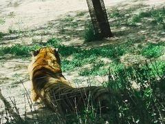 -秦皇岛野生动物园
