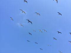 -海驴岛(荣成市)