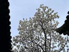 -大叔家福鼎小吃(十全街店)