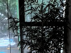-上足·影院足道·SPA(红岭店)