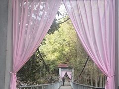 -黄山翡翠谷景区