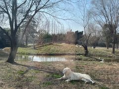 -上海野生动物园