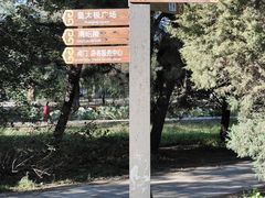 -北陵公园