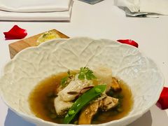 -蝶舍·MAISON PAPILLON