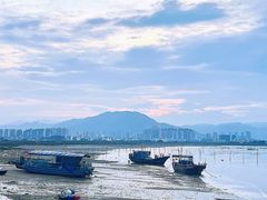 -北岐滩涂