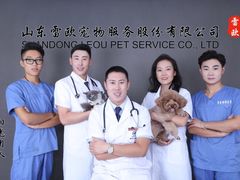 -瑞派雷欧宠物医院·24h夜诊·心脏骨科牙科·全科重症转诊中心(无影山店)