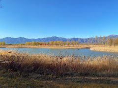 -野鸭湖国家湿地公园