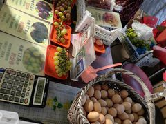 -马陆小张葡萄园农家乐