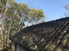 -上海佘山国家森林公园天马山园