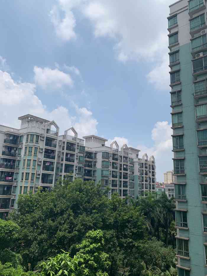 富力阳光美居-"这个楼盘其实是在黄石路那一边,黄石路是一.