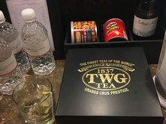 -新加坡瑞士史丹福酒店