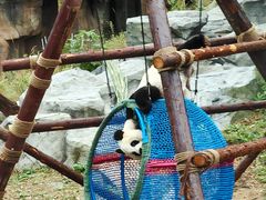 -宁波野生动物园