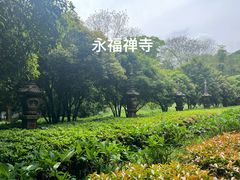 -灵隐飞来峰景区