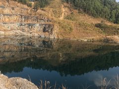 -黄埔油麻山森林公园