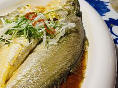 黄鱼-江南赋(内蒙古大厦店)