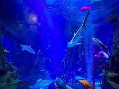 -沈阳海洋探索中心