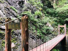 -牛背梁国家森林公园