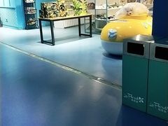 -沙沙哗啦海洋馆(华宇百花谷店)
