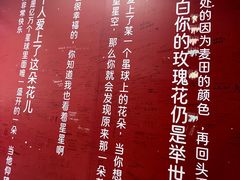 -爱情邮局