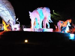 -清迈夜间动物园