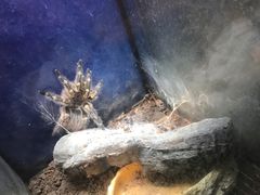 -太奥幻太奇海洋馆