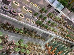 -KKV(深圳宏发大仟里店)