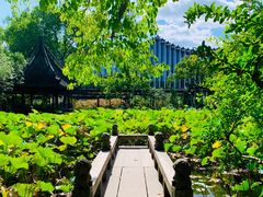 -上海醉白池公园