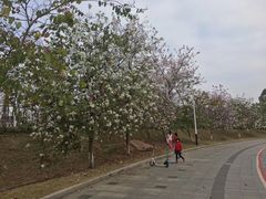 -水濂山水库景点停车场
