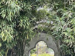 -水绘园