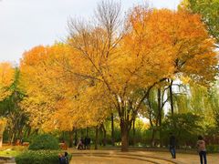 -玲珑塔公园