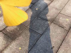 -两江幸福广场