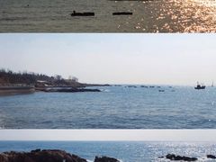 -小麦岛公园