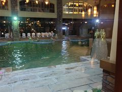 -咸宁万豪温泉谷度假区