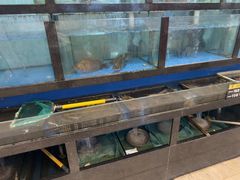 -聚鑫阁江浙菜·非遗传承技艺(闵行交大店)