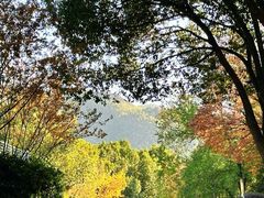 -天目湖御水温泉·度假酒店