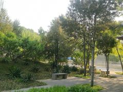 -黄村公园