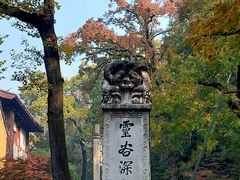 -灵谷景区