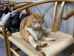 -蓝天射箭馆·专业射箭运动(诚丰广场店)