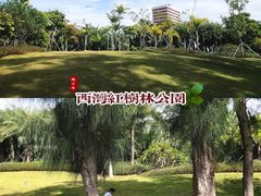 -宝安西湾红树林湿地公园