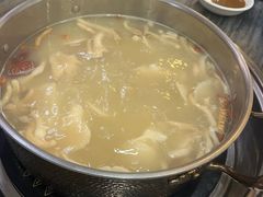 -鸽鸟轩(石岐店)