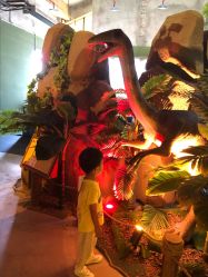 点击看大图 -恐龙探索乐园(磁器口店)