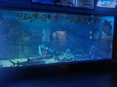 -烟台海昌鲸鲨海洋公园