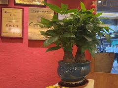 -围龙屋客家食府(福田店)