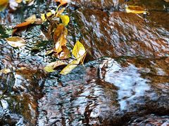 -会稽山峡洞漂流-上青古道